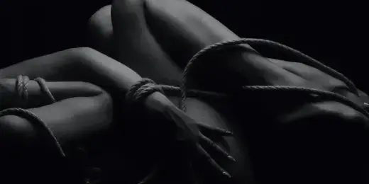 Introduction to Kink & Fetish - Svakom Australia