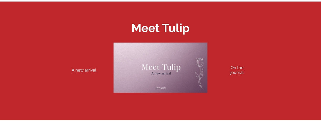 Meet Tulip: The Compact Bullet Vibrator That Quietly Outperforms Its Size