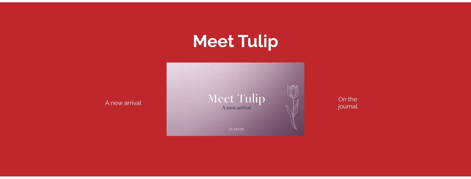 Meet Tulip — Svakom AU journal hero