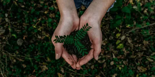 Celebrate Earth Day - Svakom Store